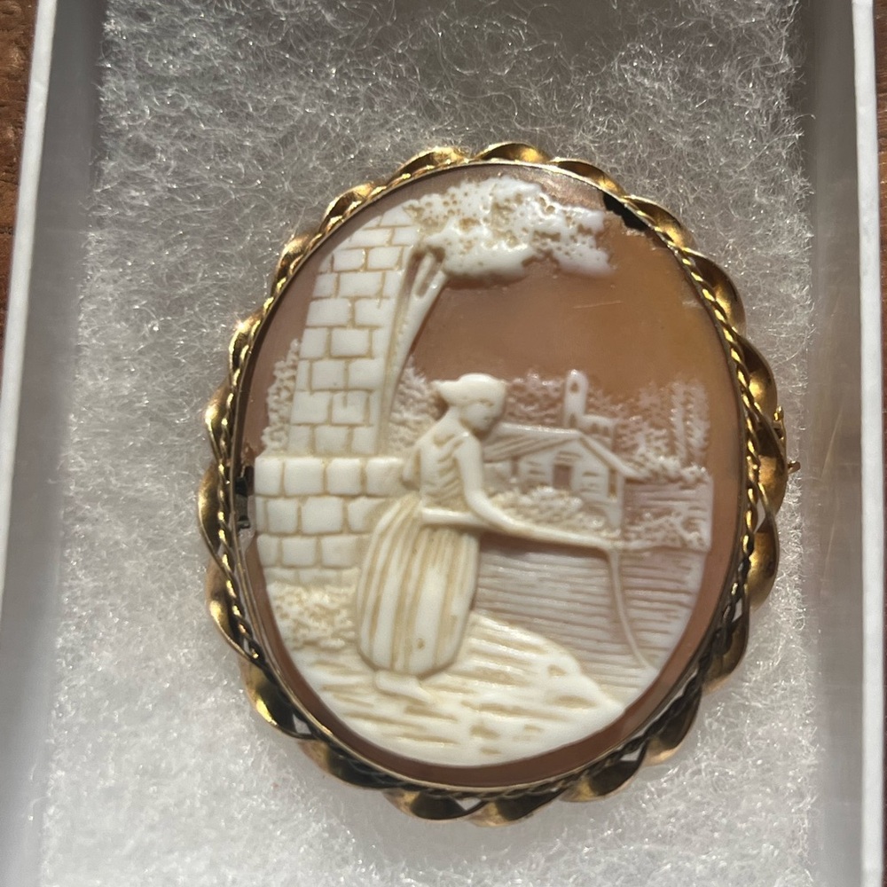 Rare Antique Cameo Brooch with 10k Gold Trim